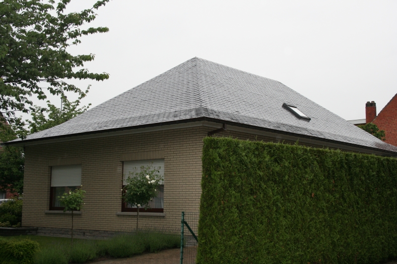 Hellende daken - Natuur en cement leien
